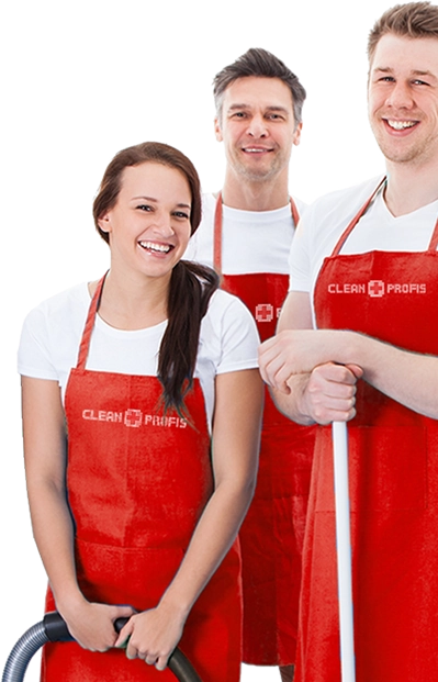 cleanprofis team sec